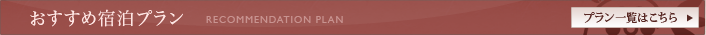 おすすめプラン
